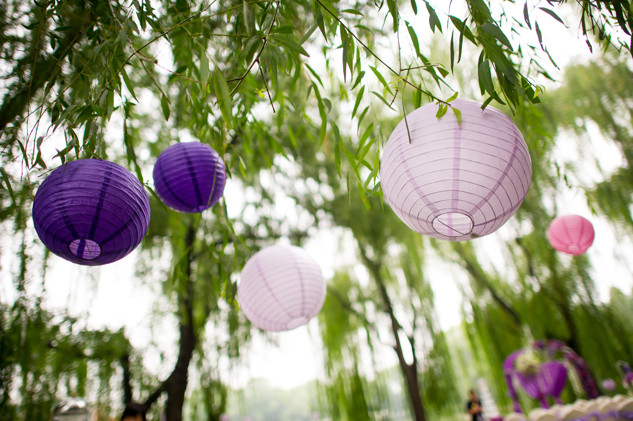 Paper Lanterns UKs Largest Supplier Of Lanterns